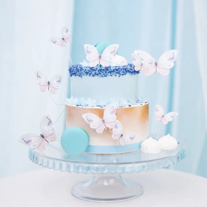toppery-na-tort-motyle-kolorowe-2.jpg