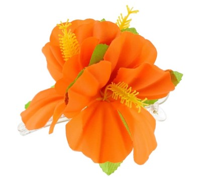 Spinka hawajska duża pomarańczowa