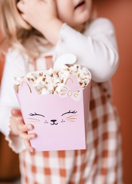 pudelka-na-popcorn-kotki-3szt-1.jpg