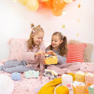 pudelka-na-przekaski-popcorn-chipsy-kotki-3szt-1.jpg