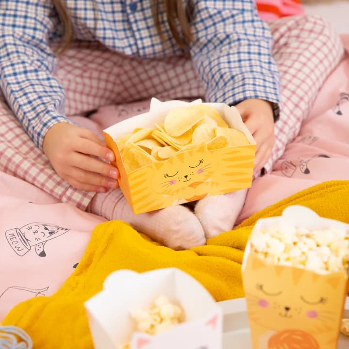 pudelka-na-przekaski-popcorn-chipsy-kotki-3szt-2.jpg