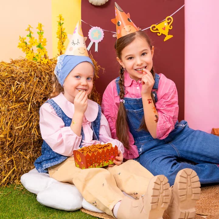pudelka-na-przekaski-chipsy-popcorn-urocze-koniki-3szt-2.jpg