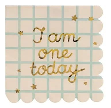 serwetki-papierowe-bezowe-i-am-one-today-mis-12szt.jpg