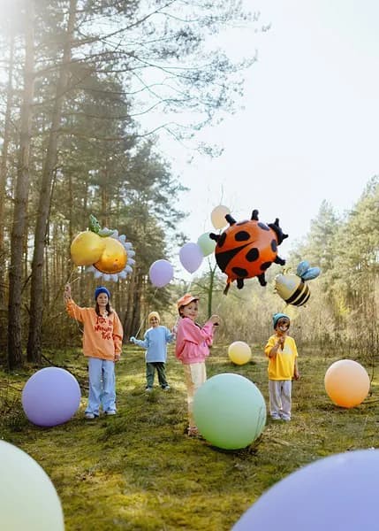 balon-foliowy-biedronka-85x83cm-2.jpg