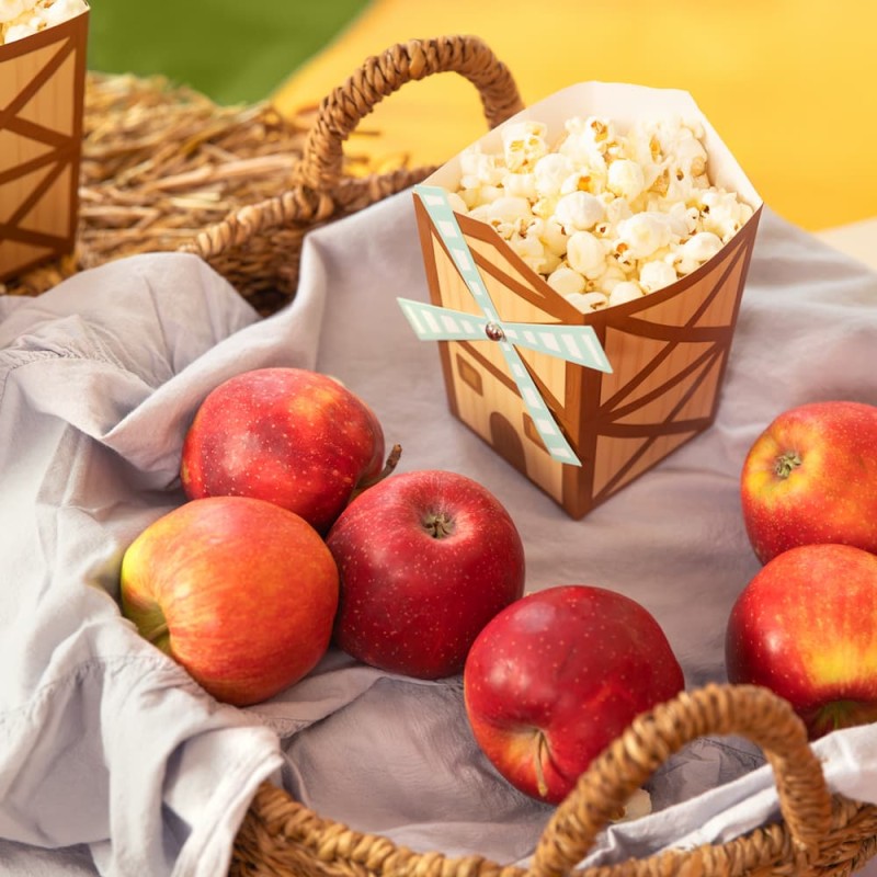 pudelka-na-przekaski-chipsy-popcorn-farma-wiatrak-6szt-6.jpg