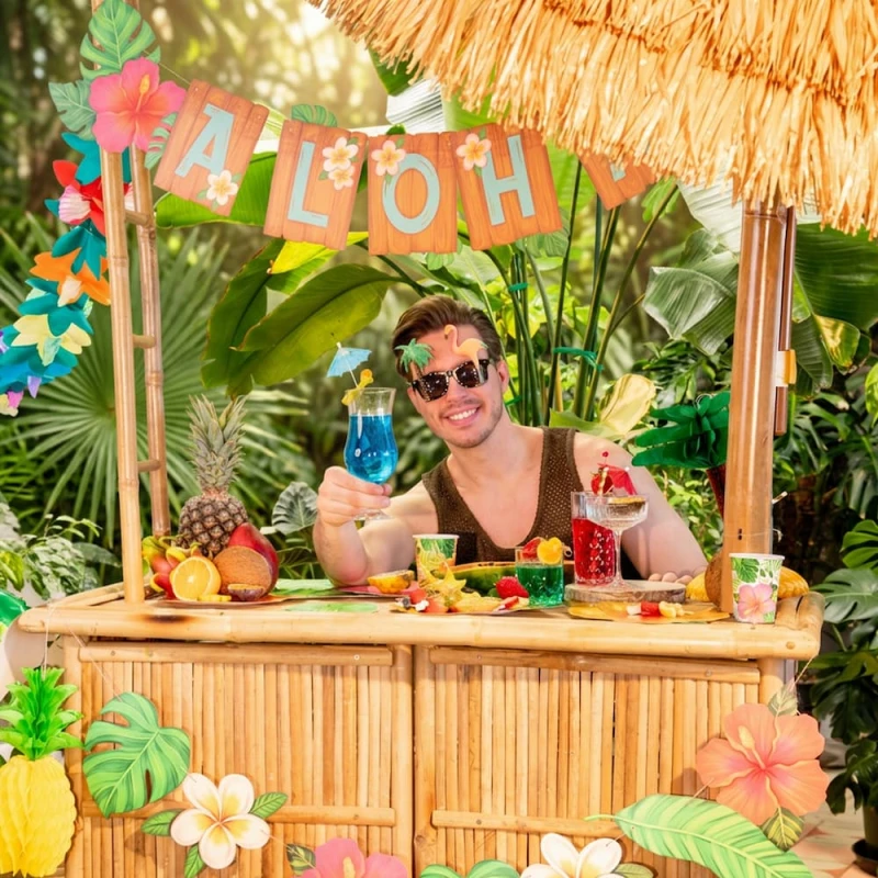 baner-aloha-sceneria.jpg