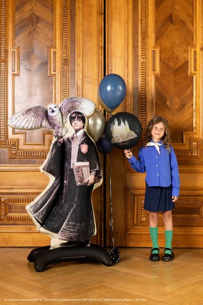 balon-foliowy-stojacy-harry-potter-sowa.jpg