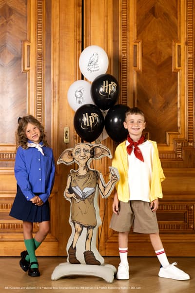 balon-foliowy-stojacy-zgredek-harry.jpg