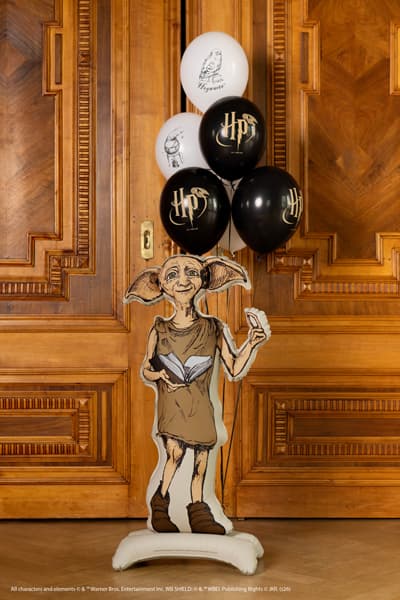 balon-stojacy-zgredek-harry-potter.jpg
