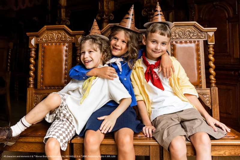 czapeczki-urodzinowe-tiara-przydzialu.jpg